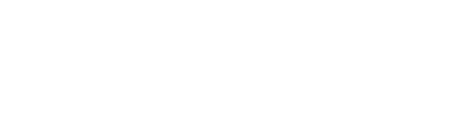 BLDR Holdings